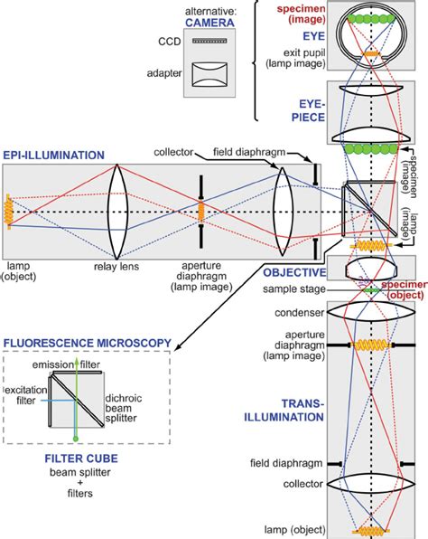 microscope design.